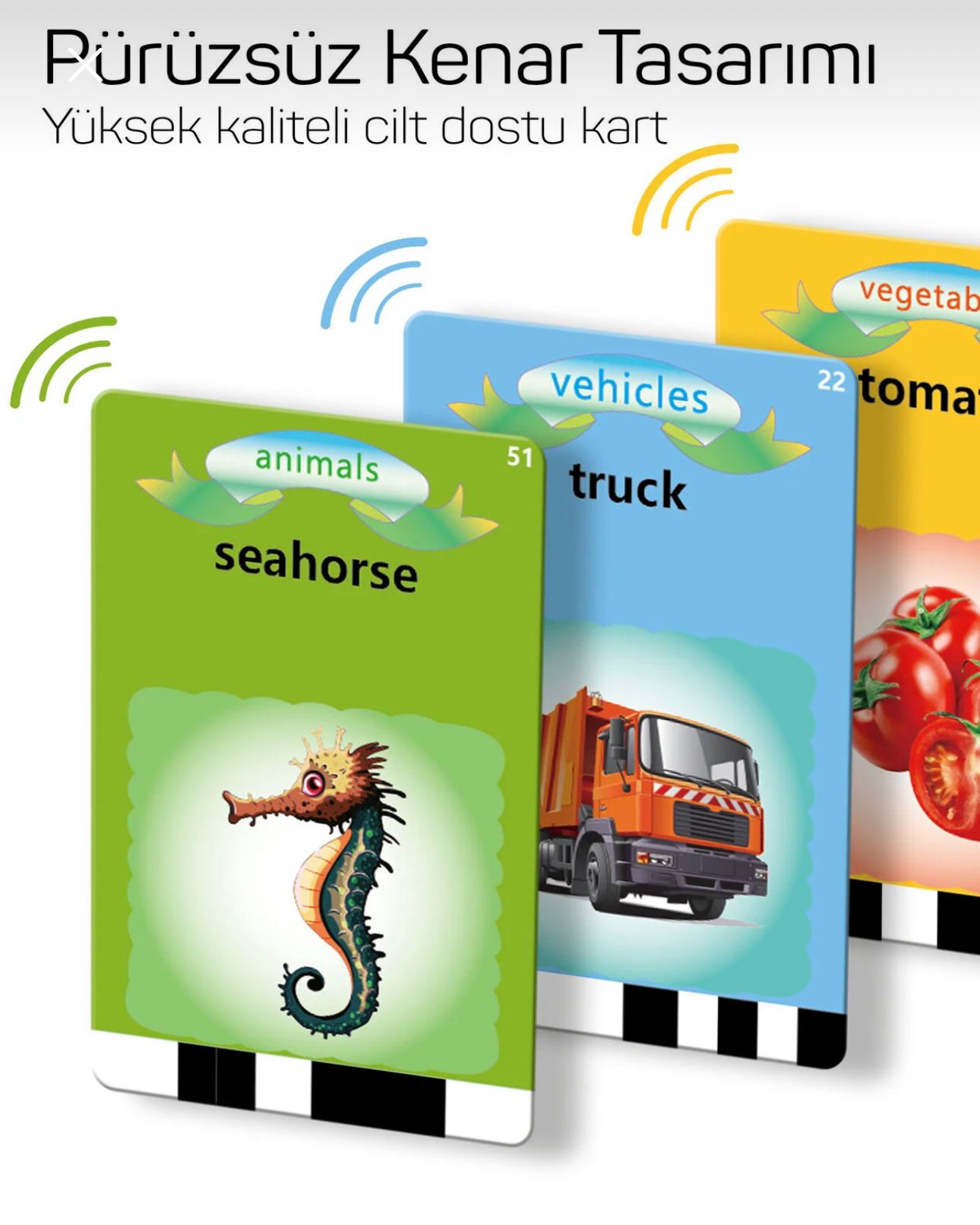 Minoar Sesli İngilizce Öğretici Flaş Kartları
